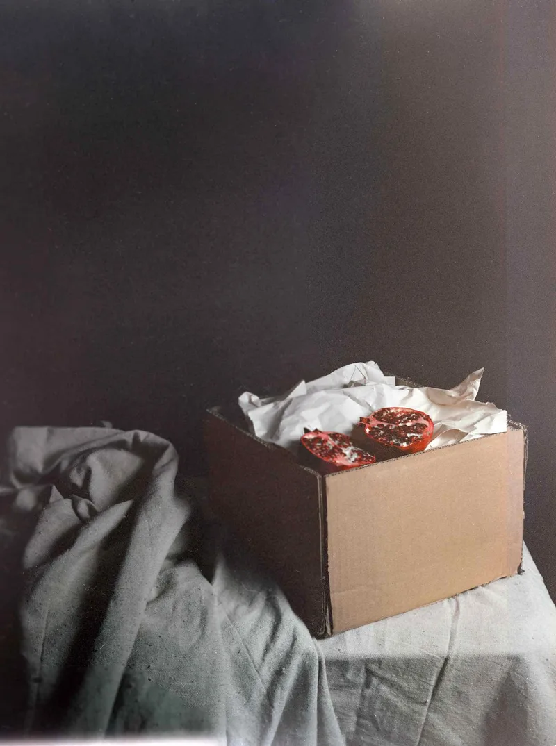 Film photo shot on Optik-Oldschool Opticolor with a Cambo SC, developed at Home / Self-Developed, by Scott Zempel