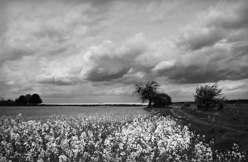 Film photo shot on Adox HR-50 with a Nikon F2, developed at Home / Self-Developed, by rafaln70
