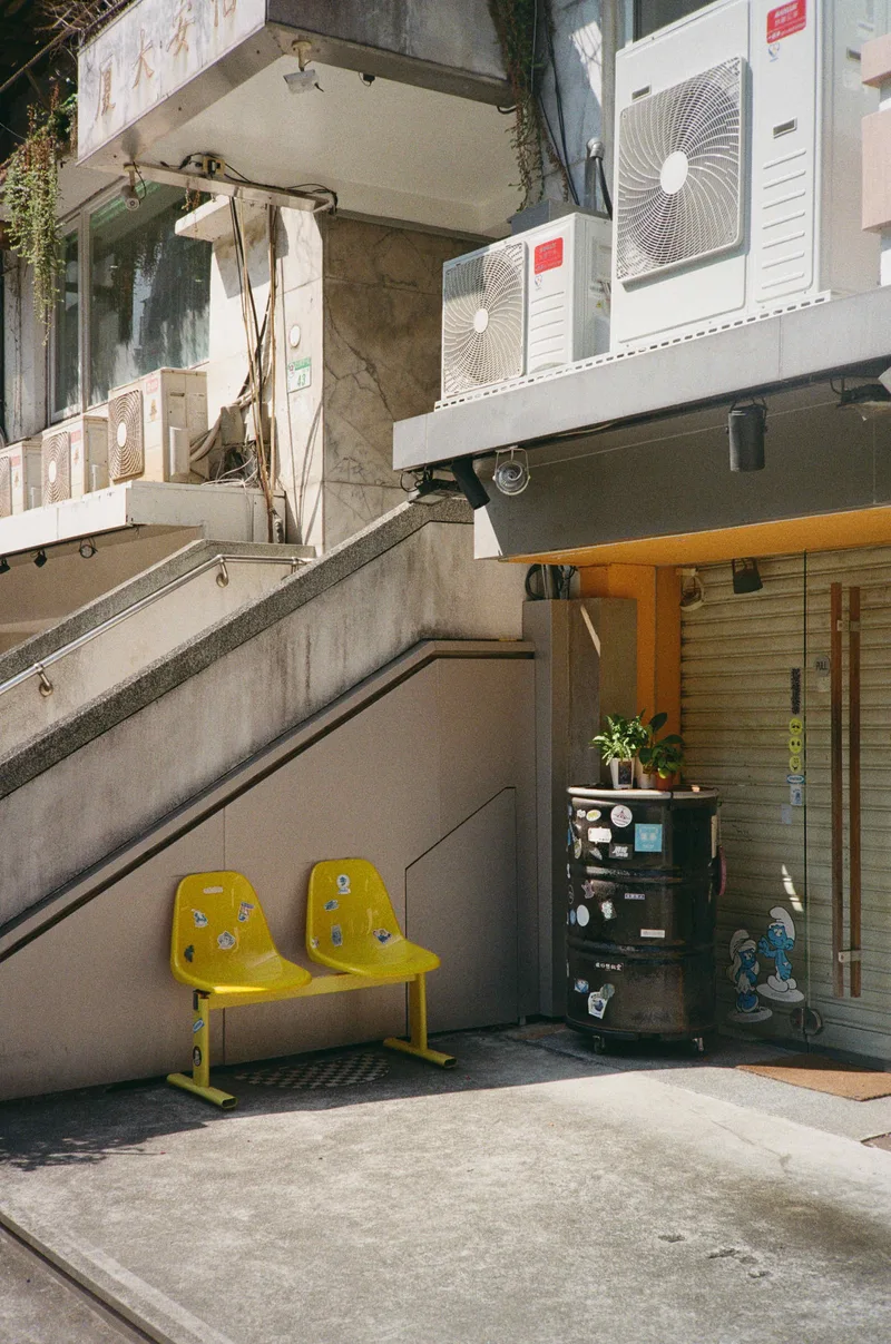 Film photo shot on Kodak ColorPlus 200 with a Canon AF35M, developed at Sunny16 Lab, by lianne