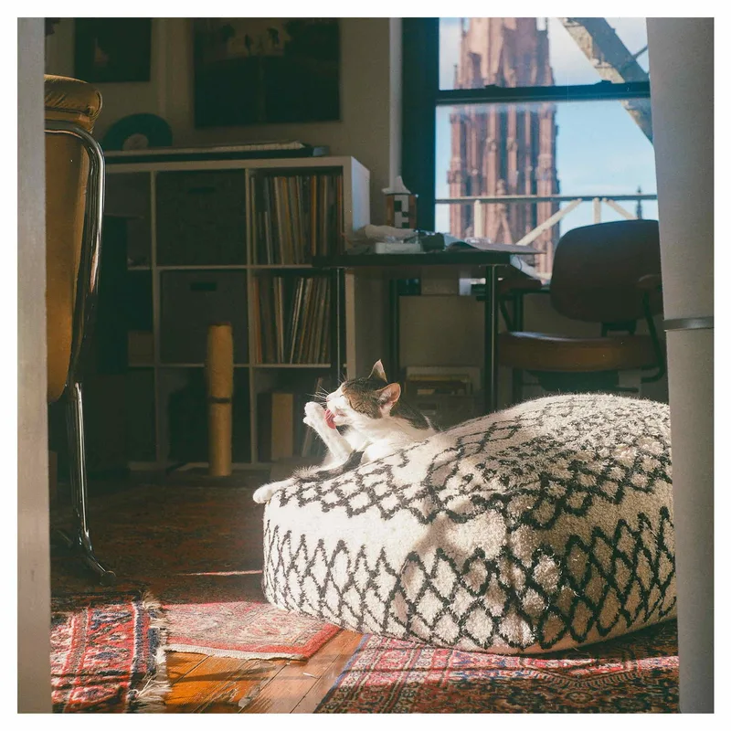 Cozy afternoons. shot on Lomography CN 400 with a Yashica Mat, developed at Full Circle Fine Arts, by Kat