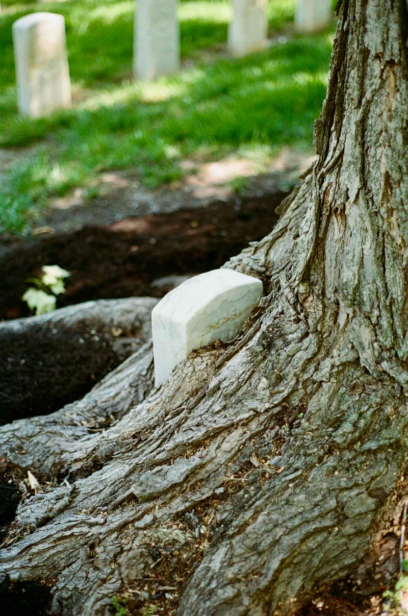 Film photo shot on Kodak Ektacolor with a Pentax K1000, developed at State Film Lab, by Jones