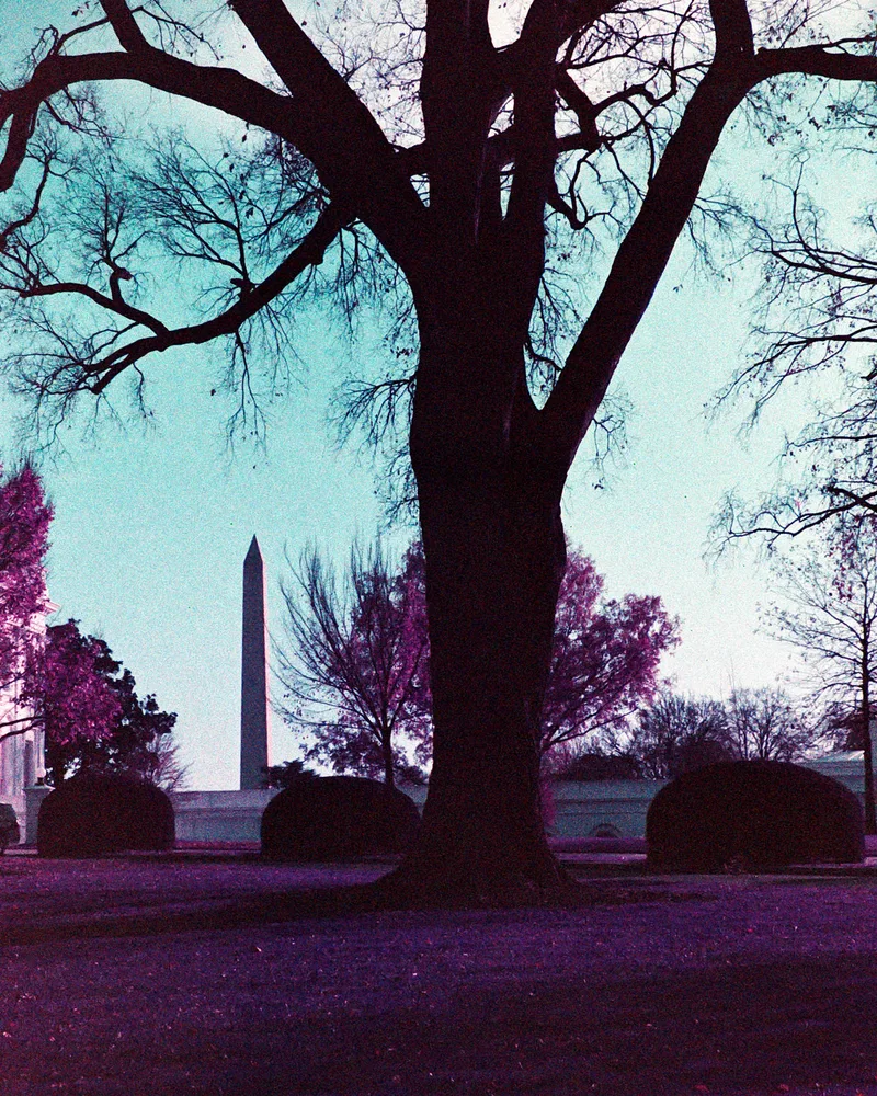 monument shot on Lomography LomoChrome Purple 100 with a Canon EOS 500, developed at Lumentation, by Jasmine Heyward