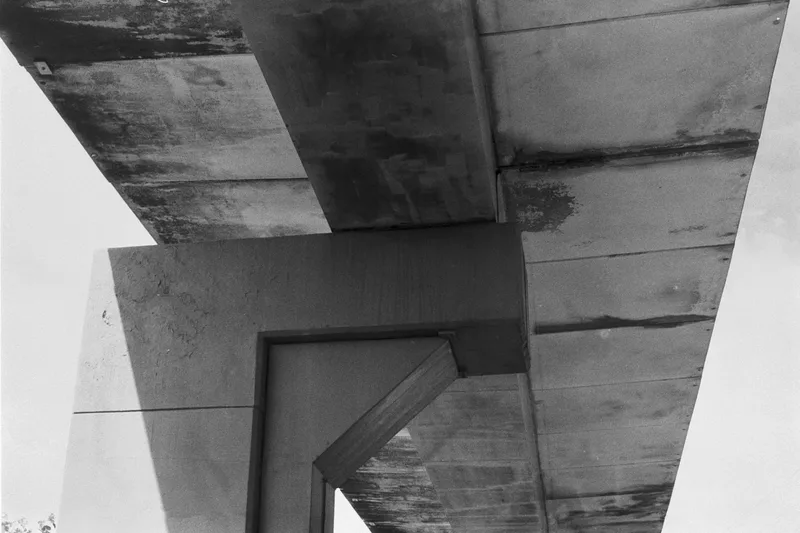 Film photo shot on Reflx Lab Double X with a Olympus OM-1, developed at Home / Self-Developed, by Taylor