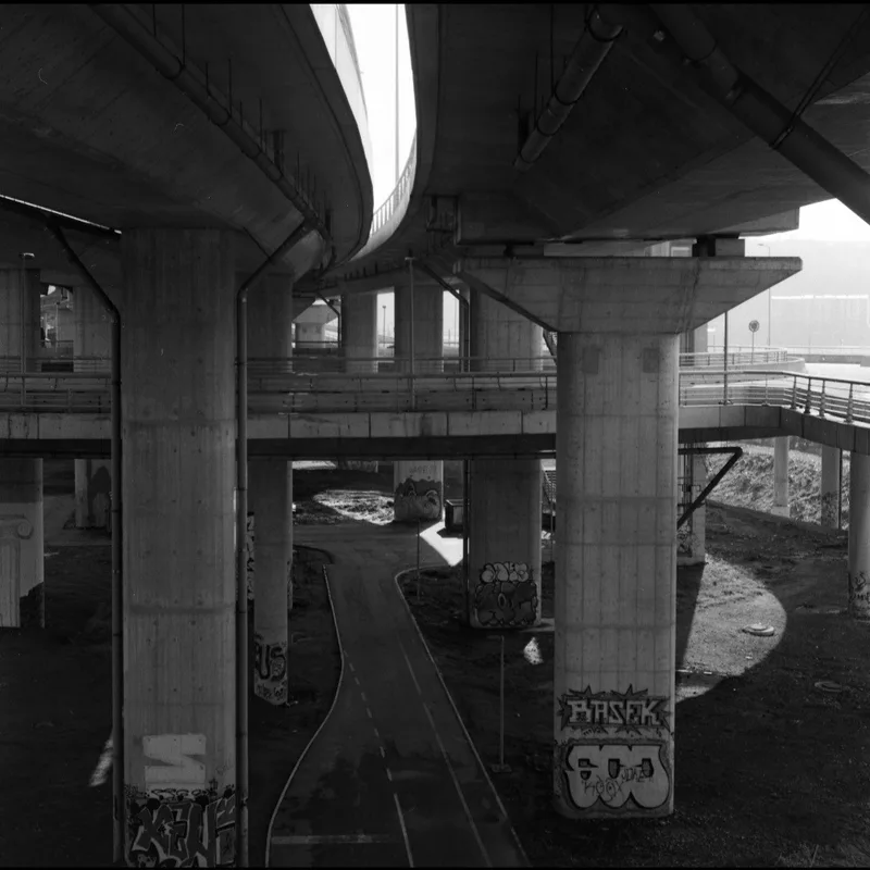 Film photo shot on Ilford HP5 Plus 400 with a Ricohflex New Dia, developed at Home / Self-Developed, by pavle