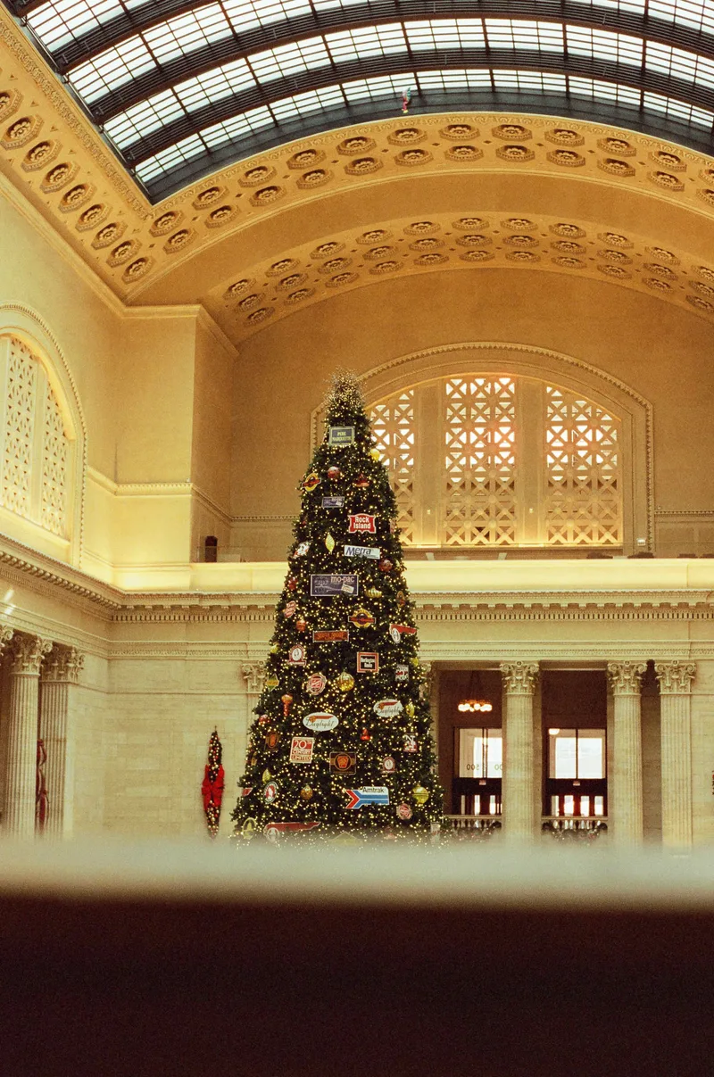 Tis the season shot on Cinestill 400D with a Canon EOS Rebel XS, developed at Thackers Film Lab, by Chris Howard