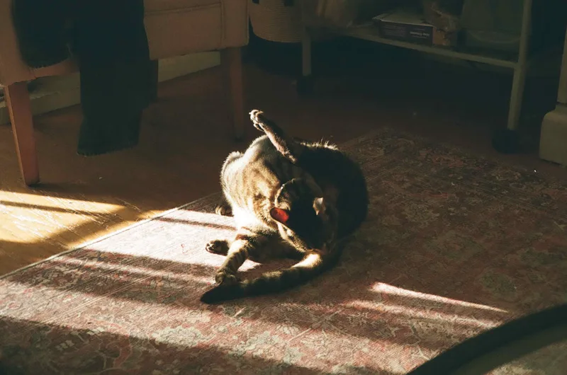 Bruno Licking shot on Fujifilm 400 with a Chinon Auto 3001, by Tristan
