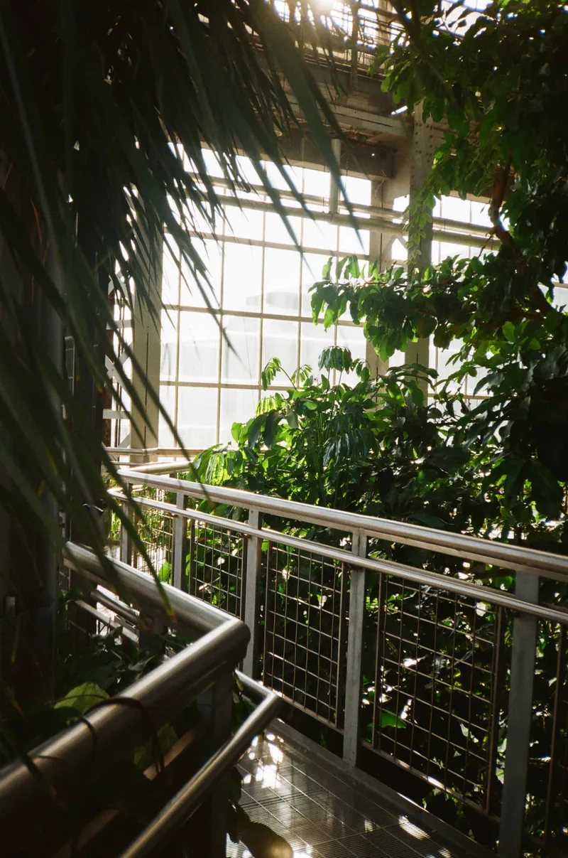 Through the Botanical Garden shot on Kodak Portra 400 with a Olympus AF-10, developed at Speedy ePhoto, by Luis