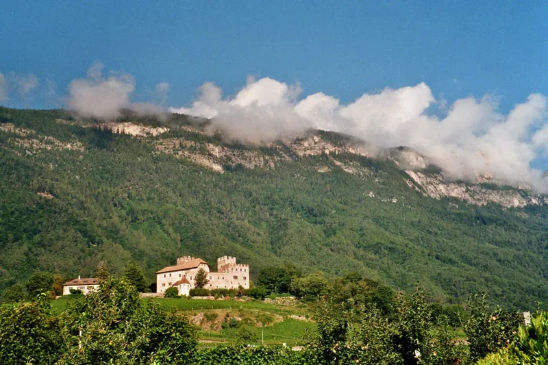 Appiano strado del vino - IT shot on Kodak Gold 200 with a Pentax Zoom 90 WR, by Clemens
