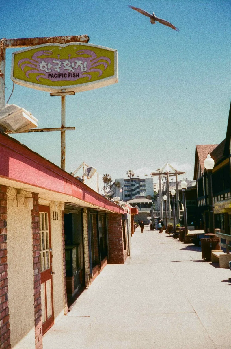 Pacific Fish shot on Harman Phoenix 200 with a Ricoh 35ZF, developed at Legacy Film Lab, by Clint