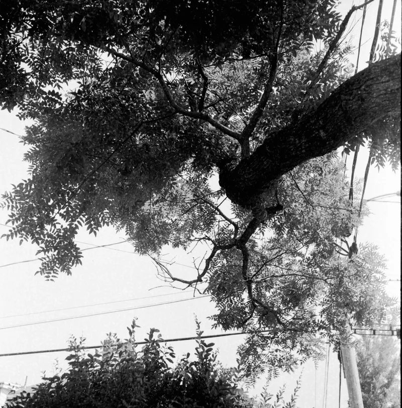 portland, maine shot on Ilford HP5 Plus 400 with a Rolleiflex Automat, developed at Home / Self-Developed, by Eric Wefald - Huang