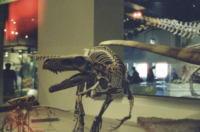 Film photo shot on Reformed Film Lab Reformed Night Shots with a Canon EOS Elan 7, developed at Reformed Film Lab, by parker