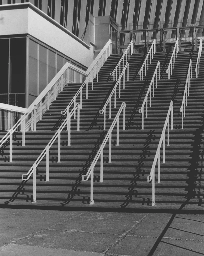 Flight of steps shot on Ilford Delta 400 with a Minolta Dynax 7, by Luc Béliveau