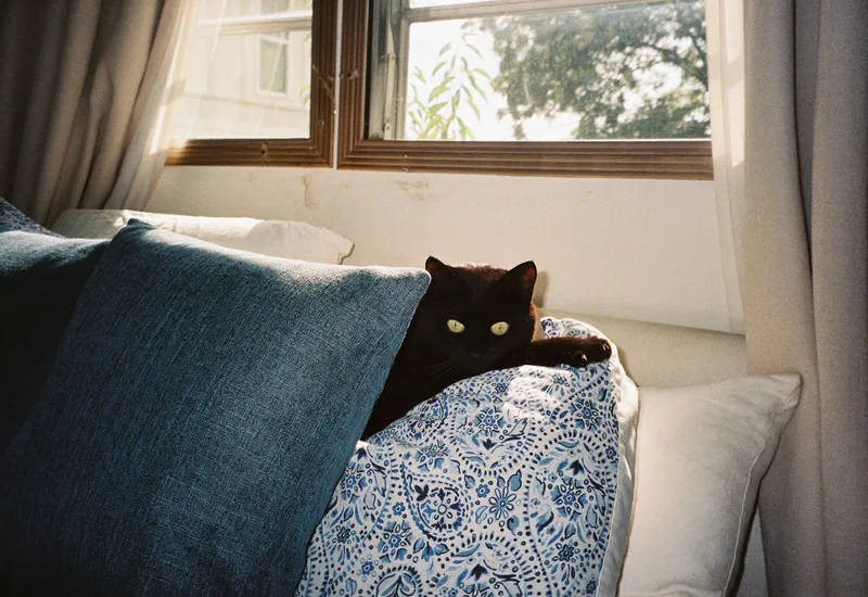 Film photo shot on Fujifilm 400 with a Olympus AZ-200SuperZoom, developed at Boutique Film Lab, by Gaby Salinas