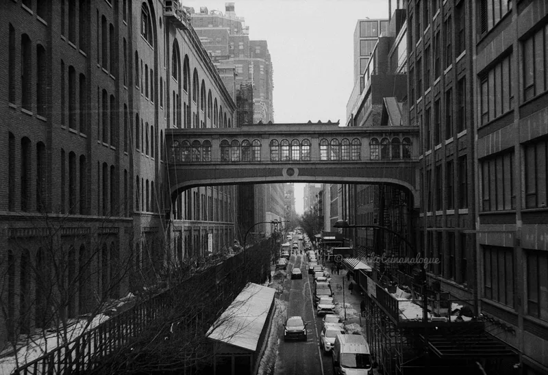 The Oreo Way Skybridge from the Highline shot on Kodak Tri-X 400 with a Nikon S32000Edition, developed at Home / Self-Developed, by Anthony