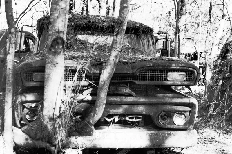 Professional Grade, Suited For Your Needs shot on Film Photography Project Derev Pan 400 with a Nikon F2, developed at Home / Self-Developed, by Ryan Jensen
