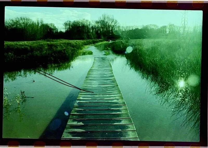 Local Flood (3) shot on Kodak Ektachrome E100 with a Canon AE-1, developed at Make It Easy, by Tony Shelley