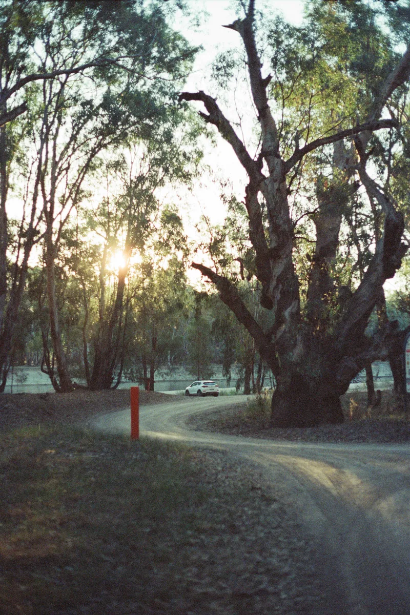 Road to Paradise shot on Mr. Negative Bat Country 400T with a Canon EOS 650, by JS