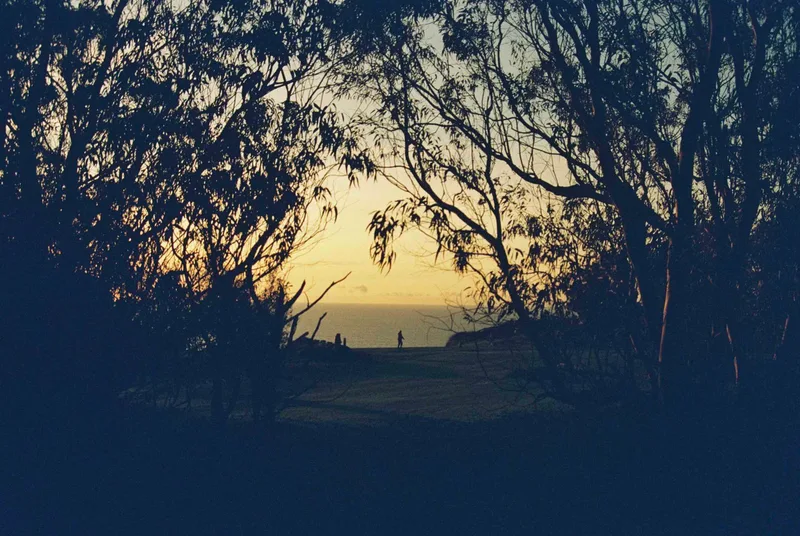 A Sunset shot on Dubblefilm Apollo 200 with a Olympus Pen EES-2, developed at Miyagi Studio, by Alber
