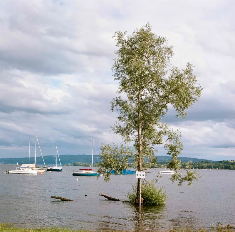 Hochwasser am See shot on Kodak Portra 160 with a Zenza Bronica SQ, developed at Urbanfilmlab, by Christian Rüster