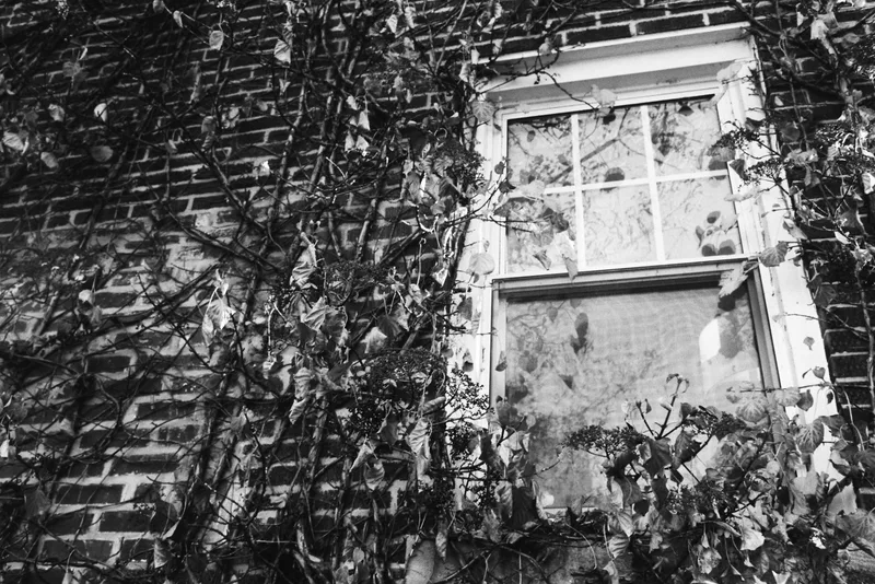 Film photo shot on Flic Film Ultrapan 100 with a Canon EOS Elan 7, developed at Reformed Film Lab, by parker