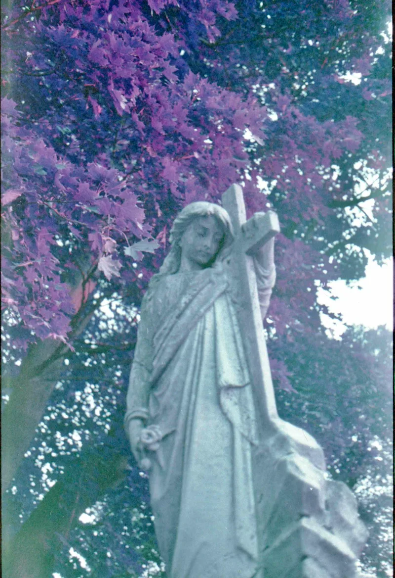 Dead shot on Lomography LomoChrome Purple 100 with a Minolta Hi-Matic E, developed at Burlington Camera, by Josh
