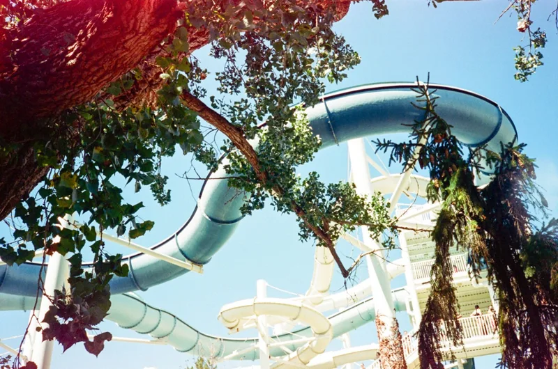 Film photo shot on Kodak Portra 400 with a Konica Pop, by Lumin