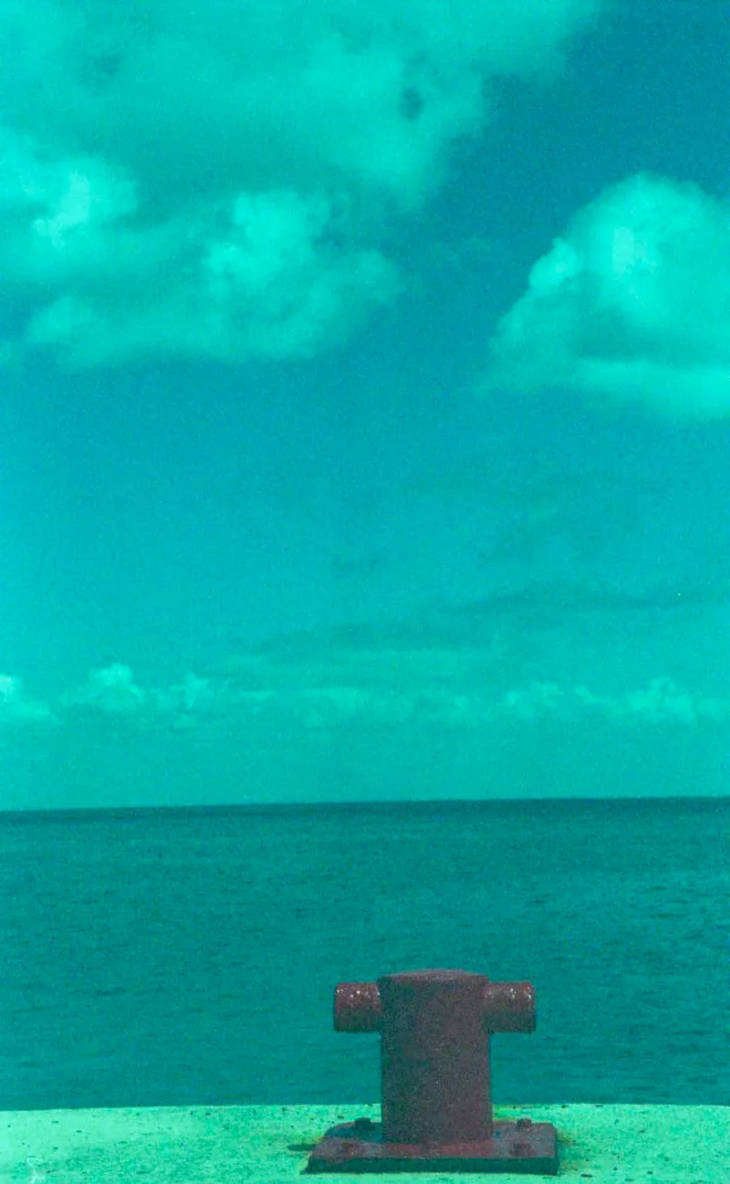 Film photo shot on Fujifilm Superia Venus 800 with a Leica R8, developed at Fotocomputo, by Paula