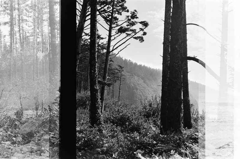 Looking Out shot on Ilford HP5 Plus 400 with a Olympus OM-10, developed at Speedy ePhoto, by Luis