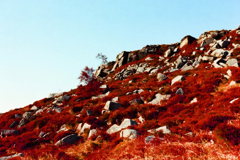 Faux Aerochrome in the Peak District UK (3) shot on Harman Switch Azure with a Pentax MX, by ant