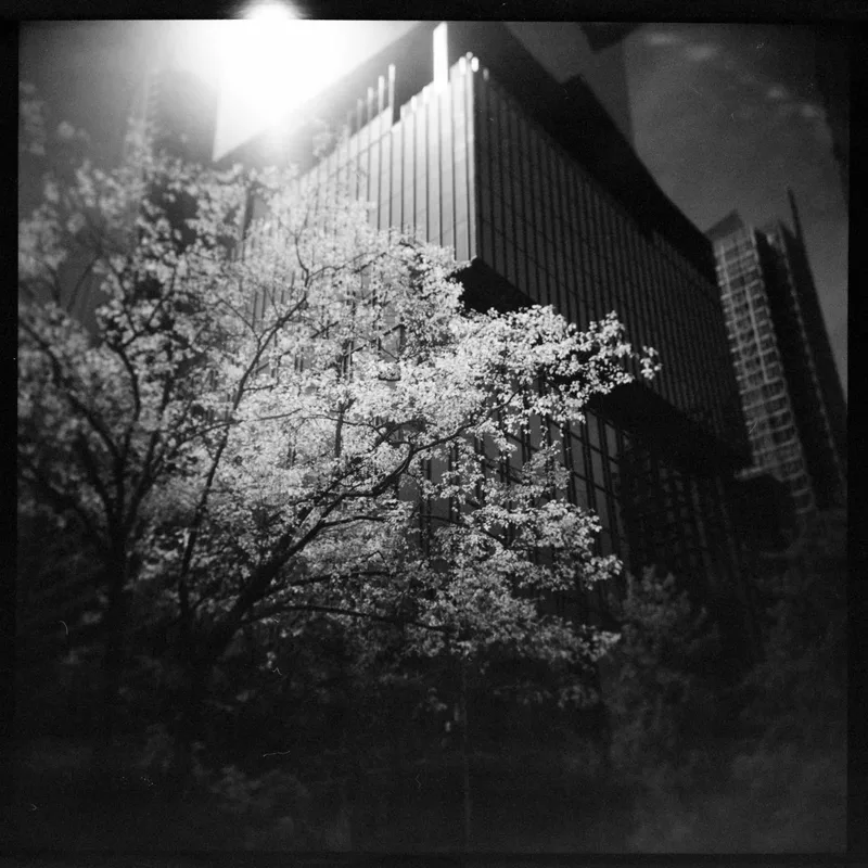 Corporate wants a word shot on Agfa Aviphot Pan 200 with a Holga 120N, developed at Home / Self-Developed, by PB