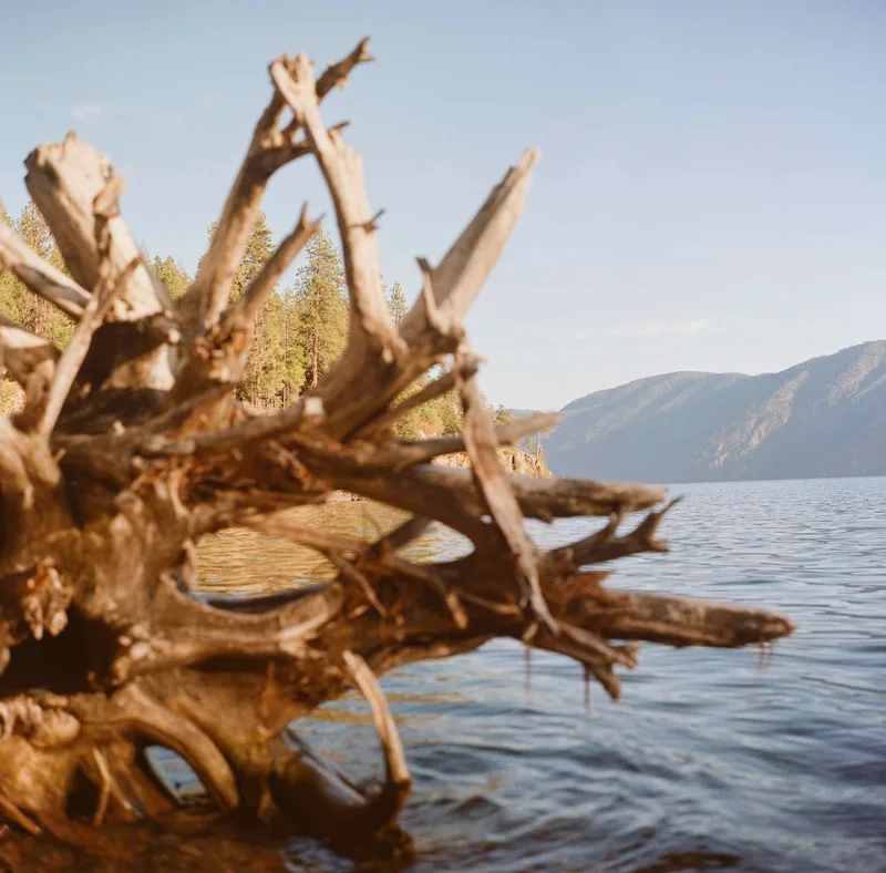 Lake Pend Oreille shot on Kodak Gold 200 with a Rolleiflex 2.8E, by Kim