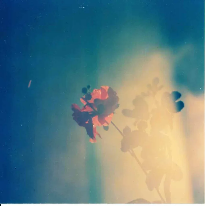 Film photo shot on Kodak Vericolor 400 with a Zenza Bronica SQ-A