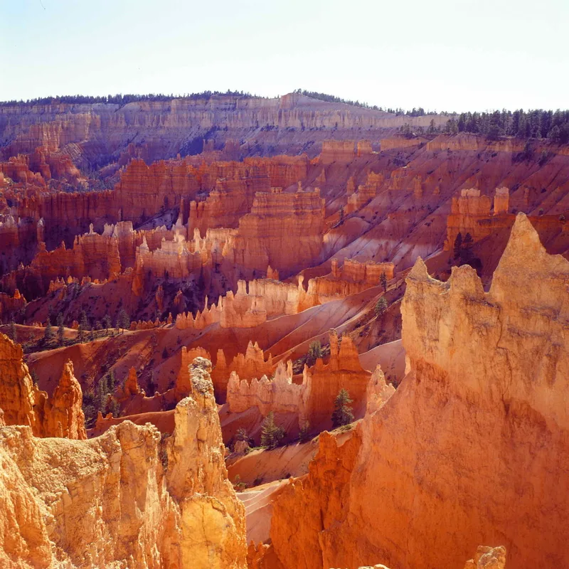 Bryce Canyon National Park shot on Kodak Ektachrome 100VS with a Yashica Mat 124G, developed at Essential Photo Supply, by Robert Sagers