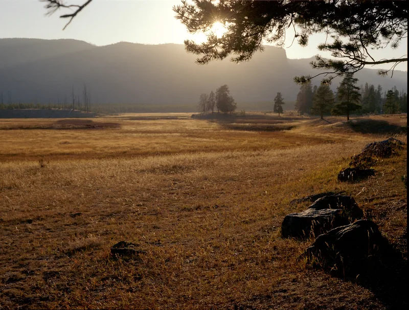 Sundown in Yellowstone shot on Kodak Portra 160 with a Zeiss Ikon Super Ikonta II C, by PayneSculptures