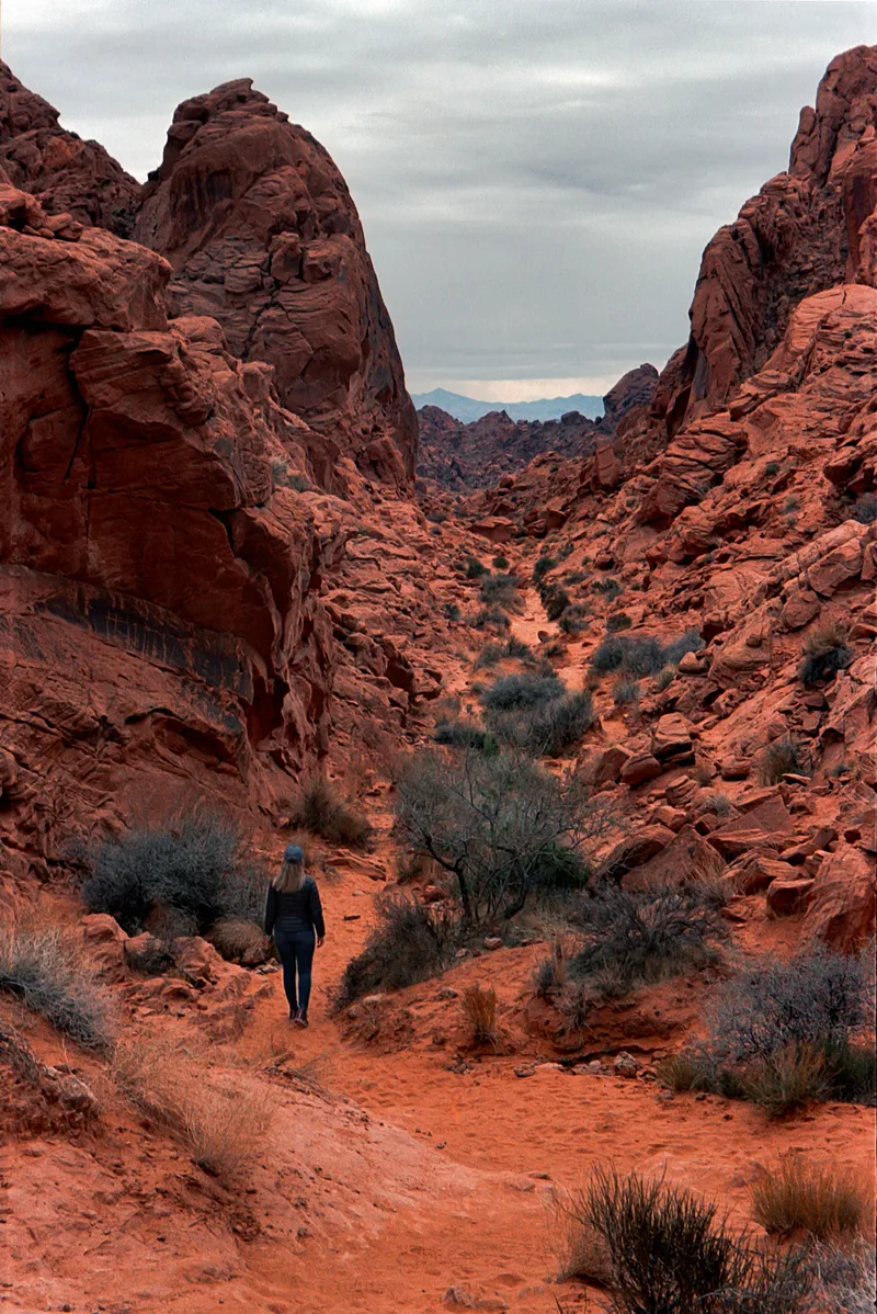Valley of Fire shot on Kodak Gold 200 with a Nikon ZoomTouch500QD, developed at Home / Self-Developed, by Dan Schneider