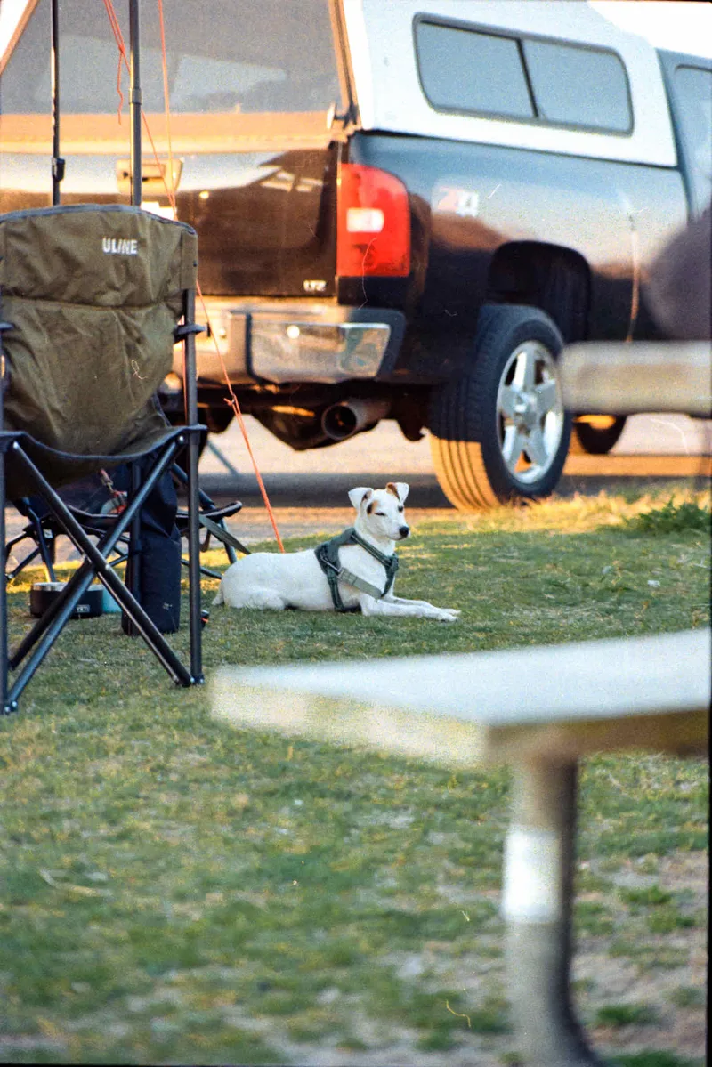 Nova shot on Kodak Gold 200 with a Canon A1, developed at Camera’s Etc., by Ken