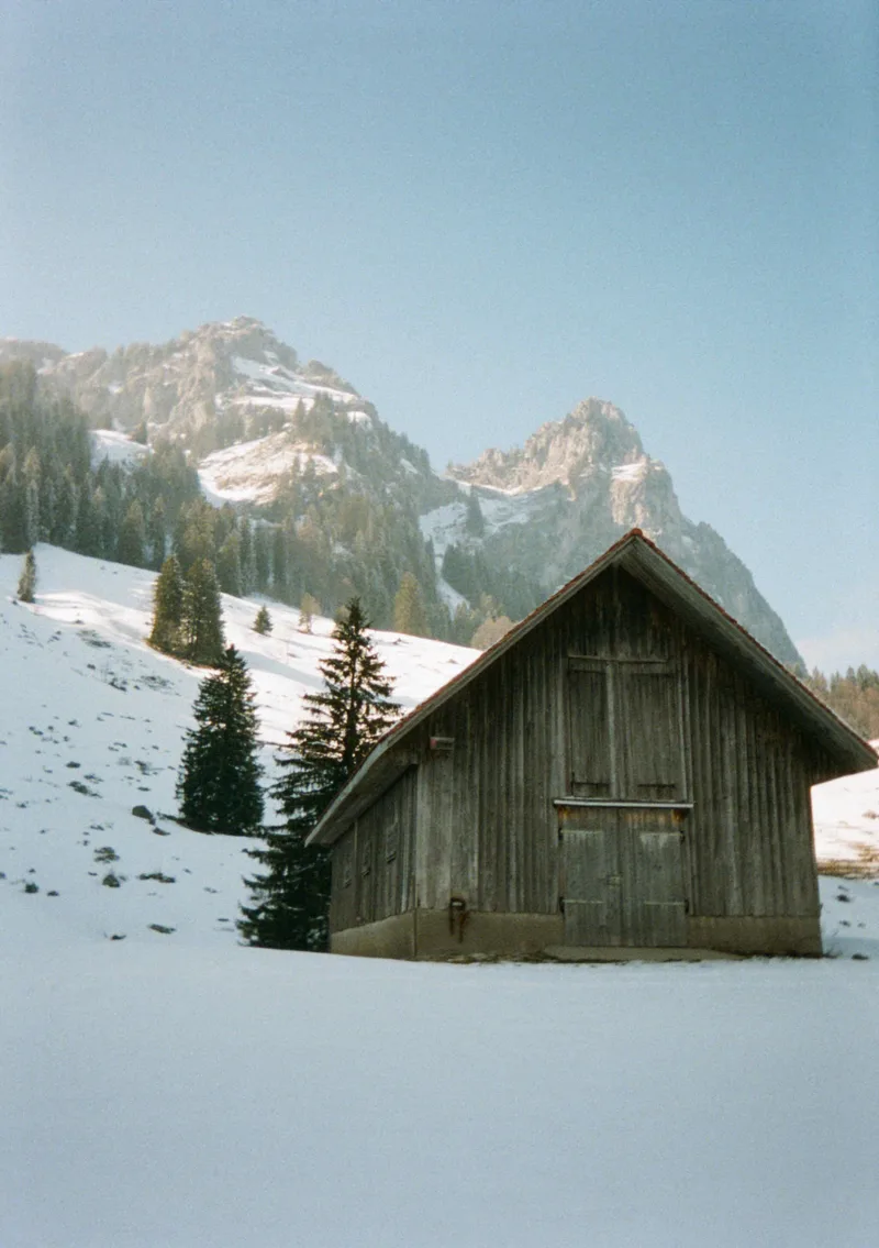 🇨🇭 shot on Kodak Portra 400 with a Kodak Ektar H35, developed at DevbyJannis, by Fran