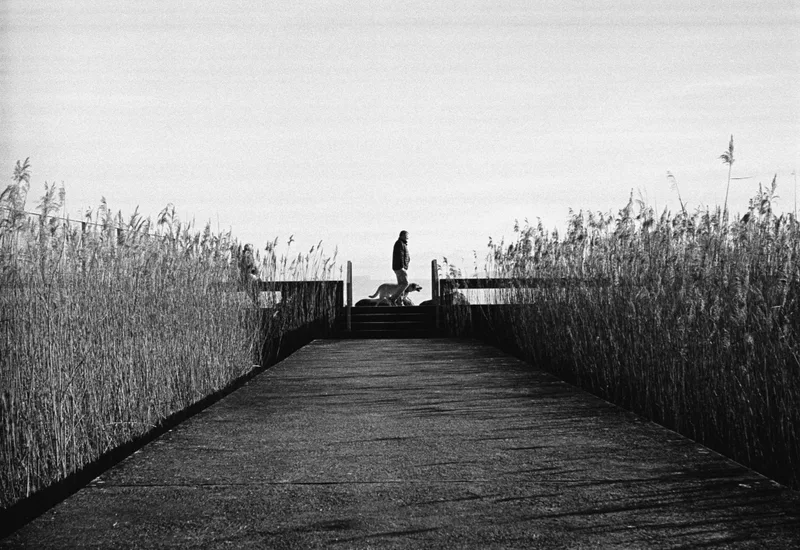 Film photo shot on Kodak T-Max 400 with a Leica IIIC, by Aurore