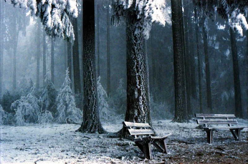 Frozen 2 shot on Kodak Portra 800 with a Nikon F3, developed at DM Fotoparadies, by Frank