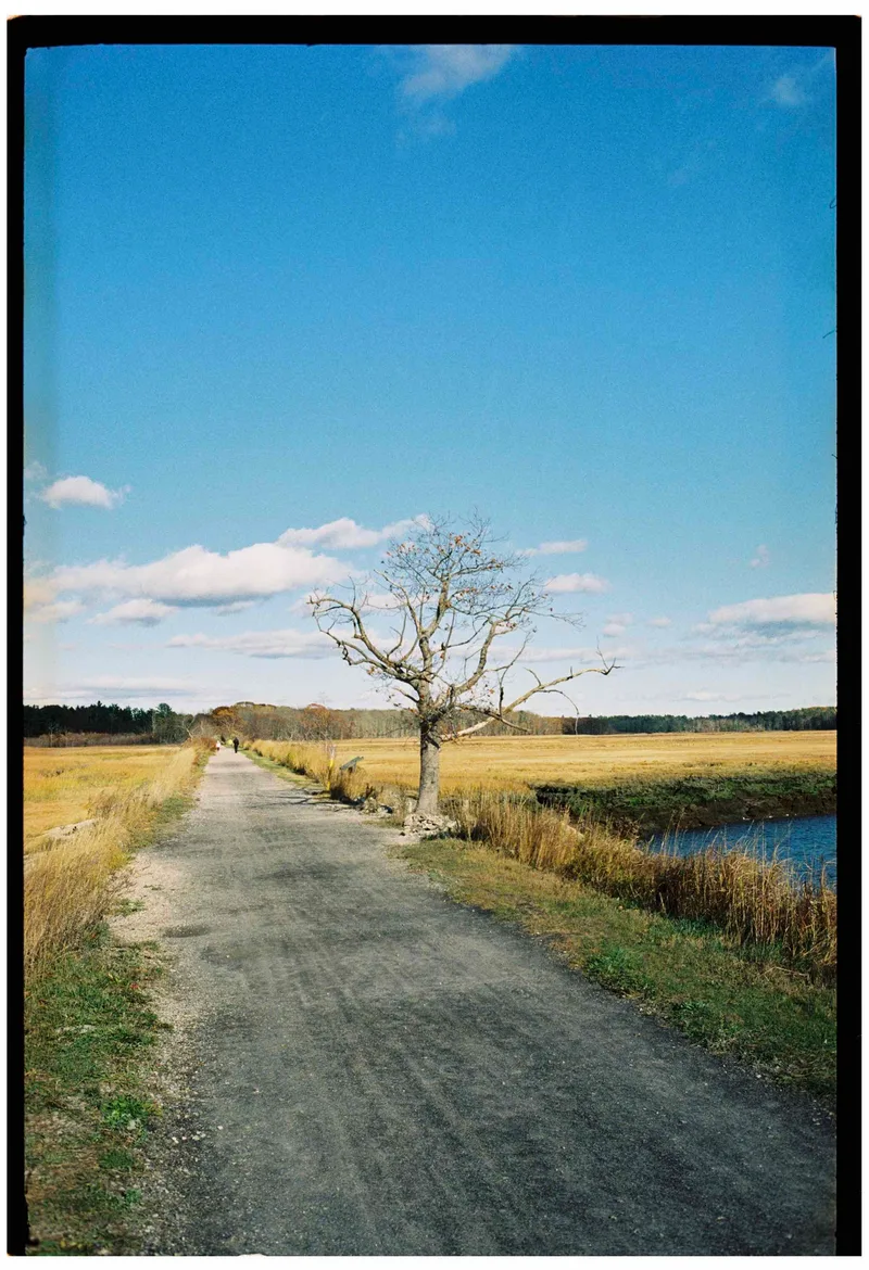 scarborough, maine shot on Kodak UltraMax 400 with a Leica M3, developed at Northeast Photographic, by Eric Wefald - Huang