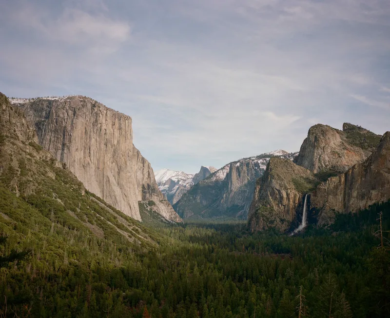yosemite shot on Kodak Portra 800 with a Mamiya 7II, developed at Richard Photo Lab, by radostina
