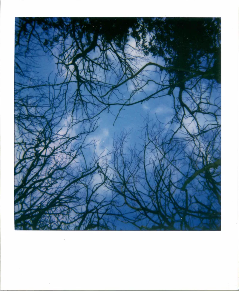 Mr Blue Sky shot on Polaroid i-Type with a Polaroid Impulse AF, developed at Instant Film, by MelvynJ