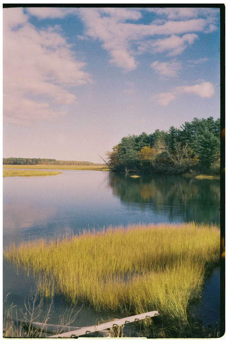 scarborough marsh, maine shot on Harman Phoenix ll with a Leica M3, developed at Monstera, by Eric Wefald - Huang