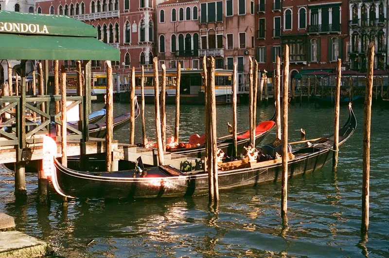 Film photo shot on Cinestill 400D with a Pentax P30, developed at The Film Safe, by alanna