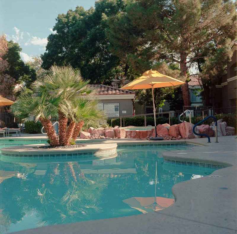 Film photo shot on Kodak Ektar 100 with a Mamiya C330 Professional, by Cam Cavagnaro