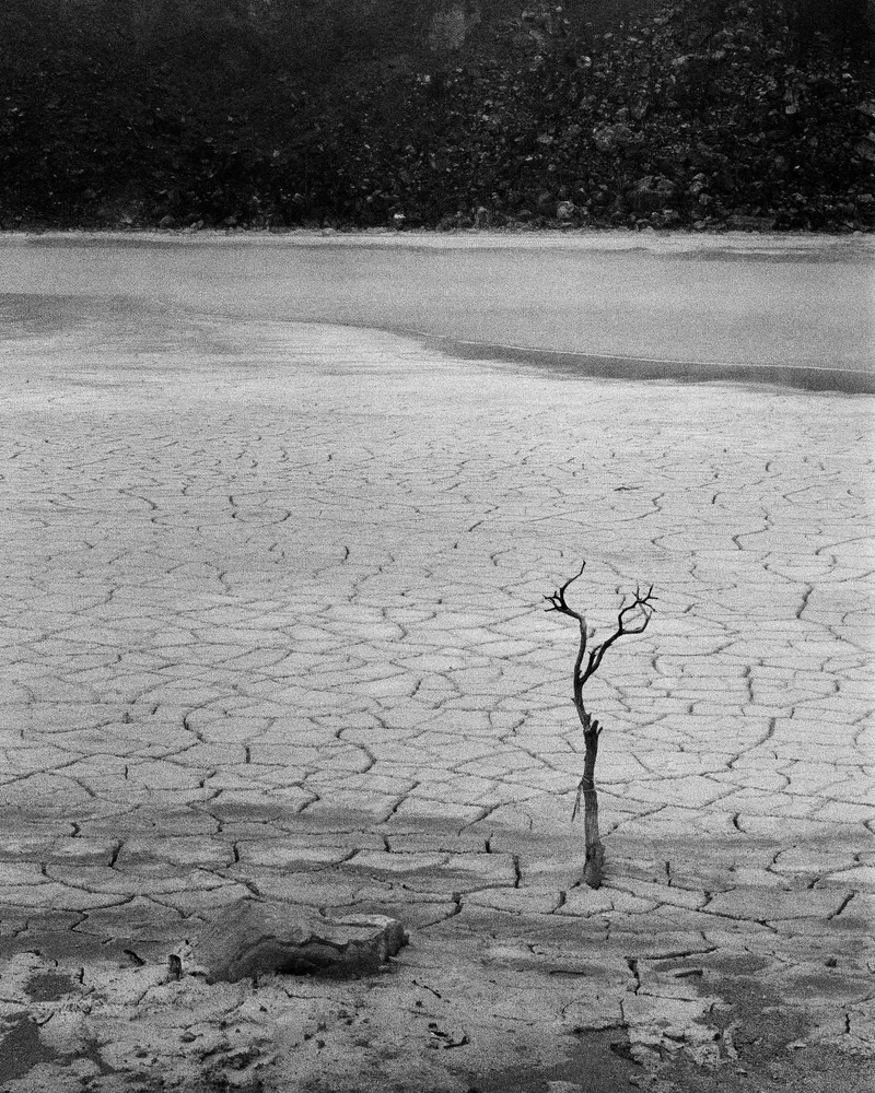 Drought shot on Foma Fomapan 400 Action with a Praktica LTL, developed at Labrana Lab, by Amarthya Dida