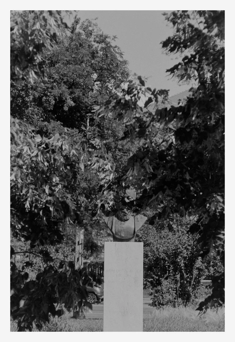 Stare Through Leaves shot on Forte Fortepan 100 with a Zeiss Werra, developed at Home / Self-Developed, by AkosArnold