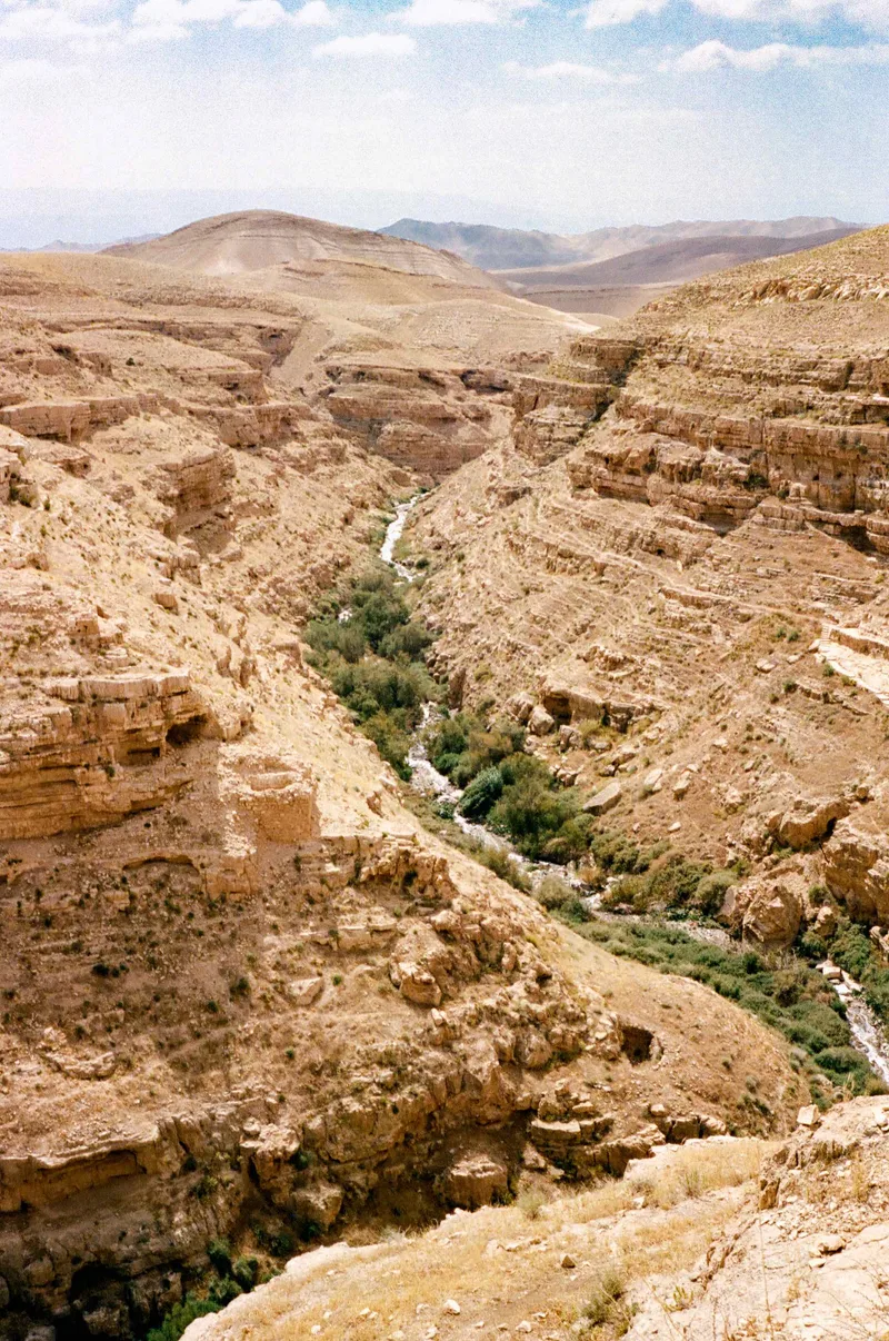 Wadi al-Nar, Palestine shot on Kodak Portra 400 with a Olympus 35SP, developed at Underdog Film Lab, by Chase