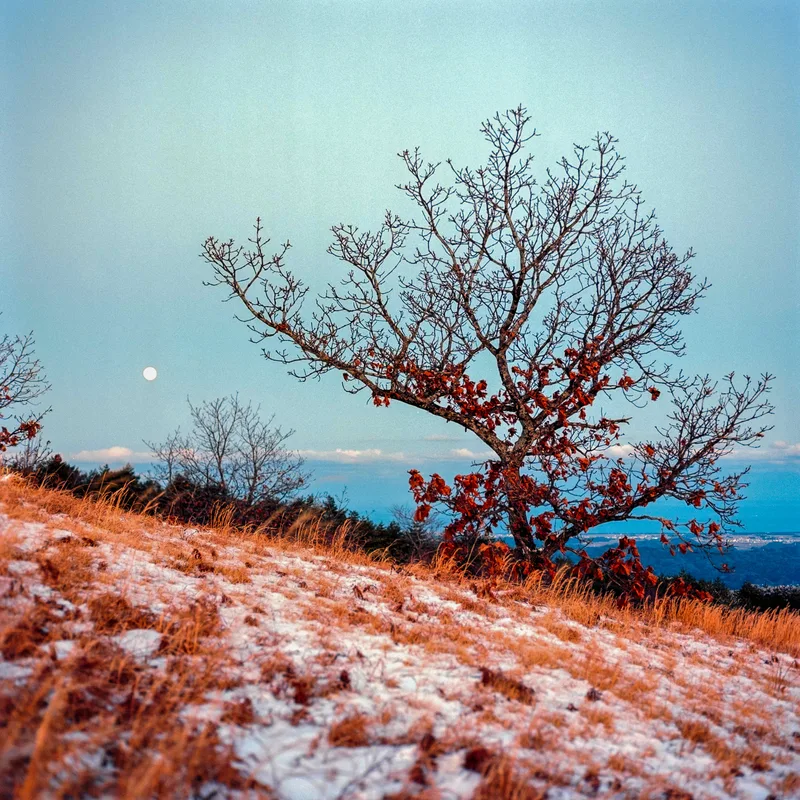 Moonrise over Mizuishiyama shot on Kodak Ektar 100 with a Hasselblad 503CXi, developed at Home / Self-Developed, by Kevin Moore