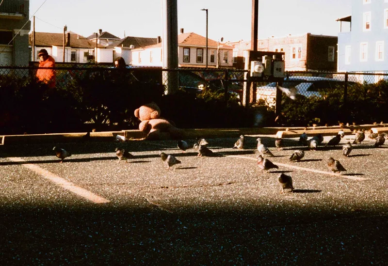 What world is this? shot on Cinestill 800T with a Yashica Electro 35 GT, developed at The DarkRoom